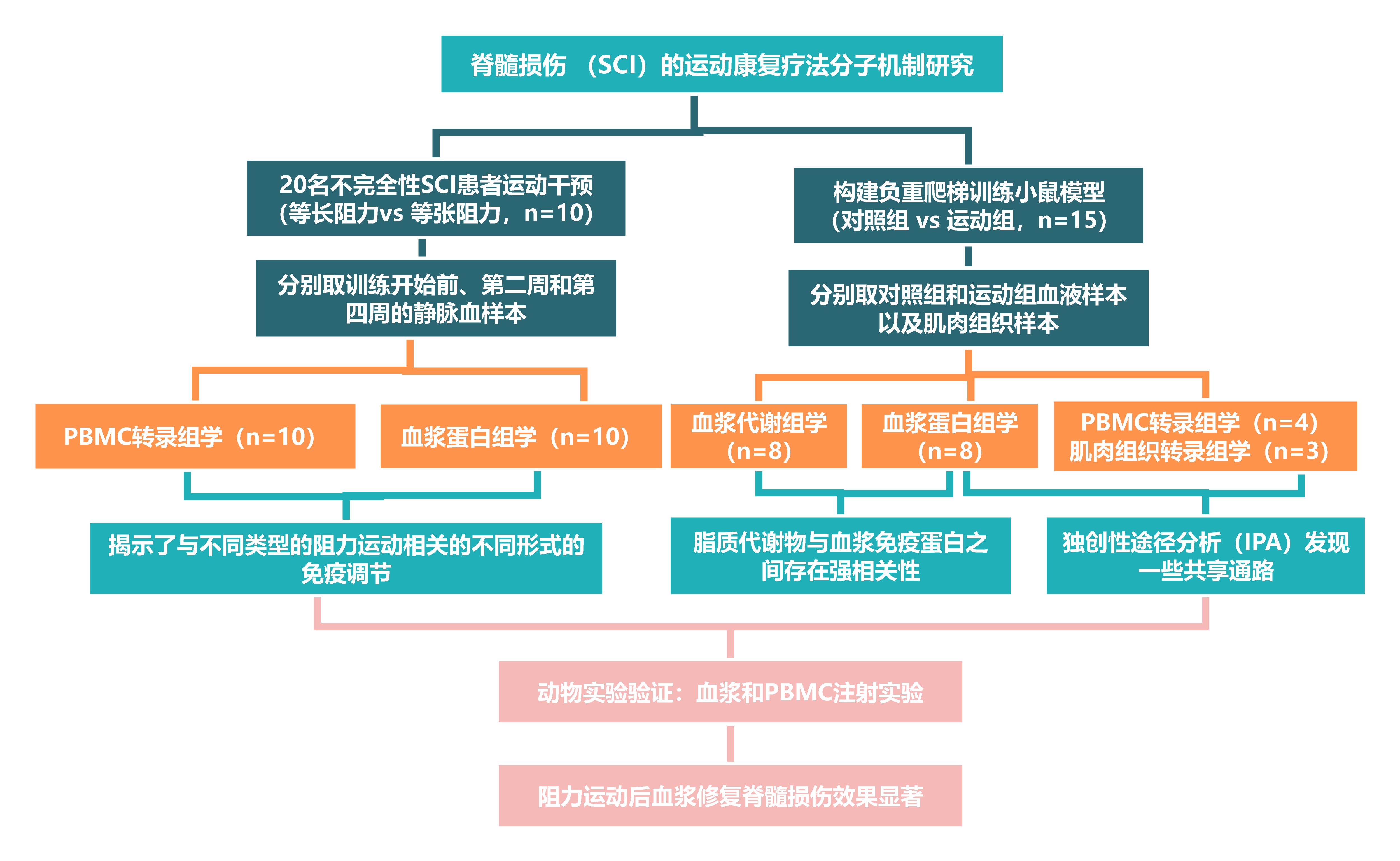 思维导图可视化模型(4)(1)222.png