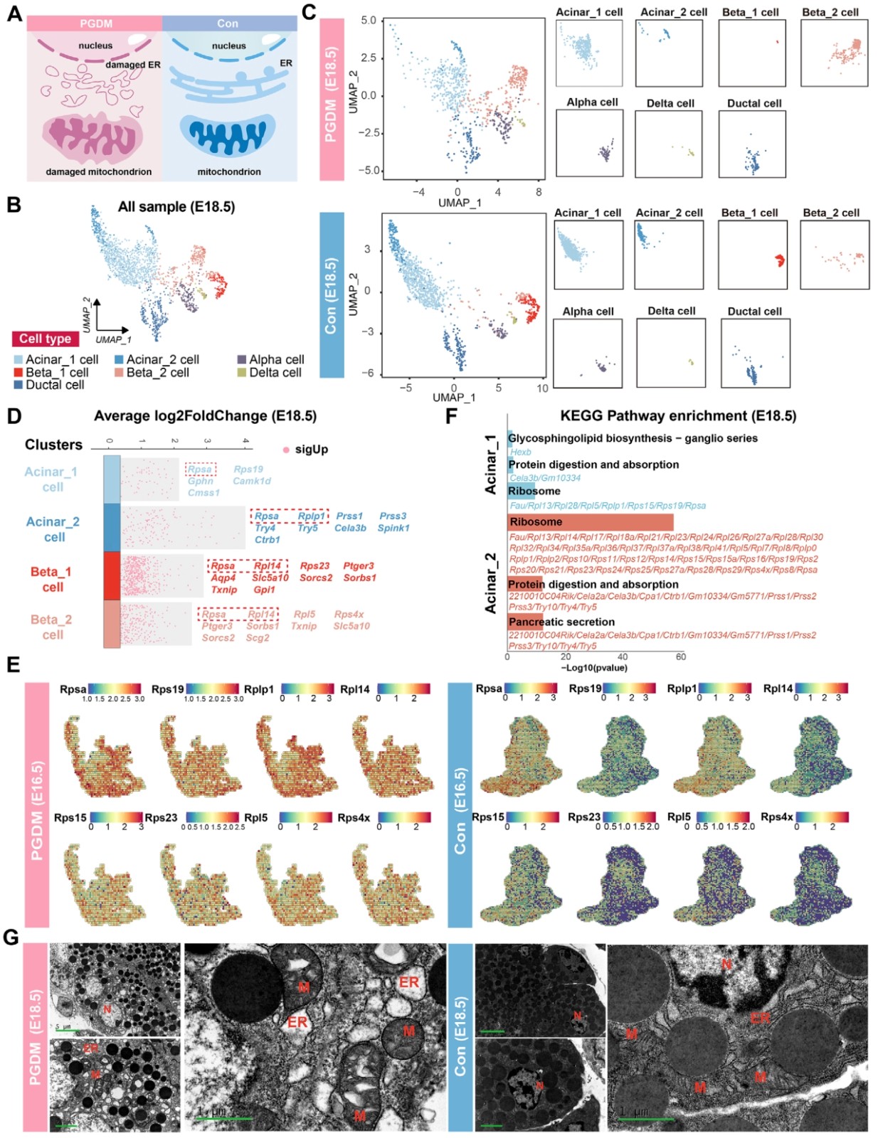 1774258185482429.jpg 9d78ffd5b1a75f3203cb7ceba2126623_compress.jpg