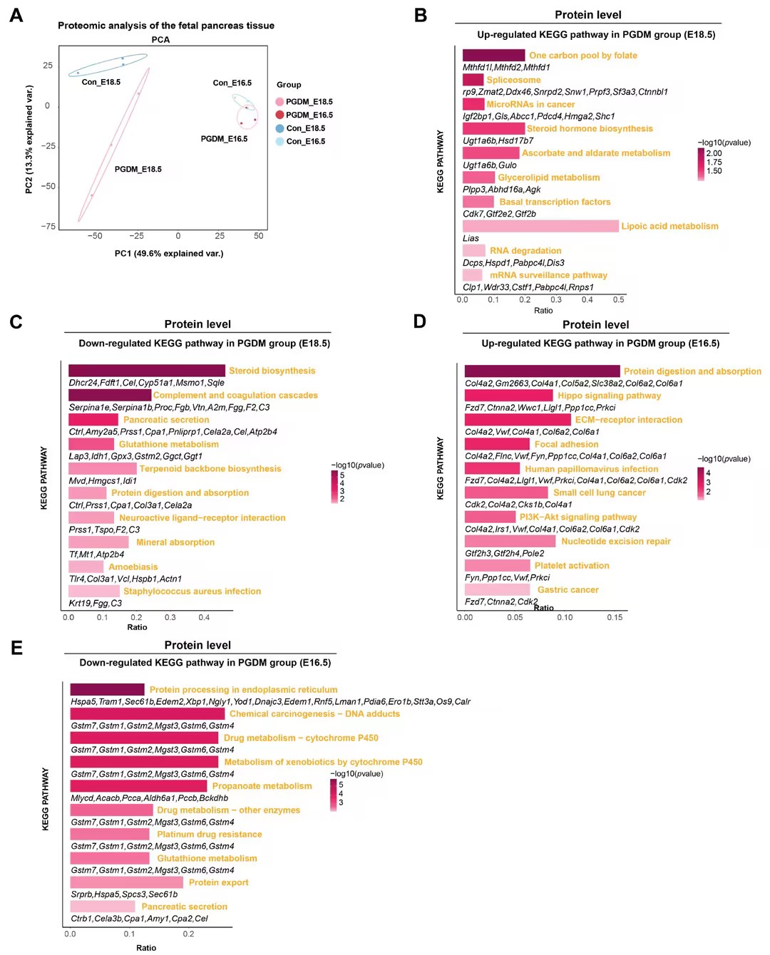 1774258210208345.jpg ca7155f678b4a3354059cd93e387ca72_compress.jpg