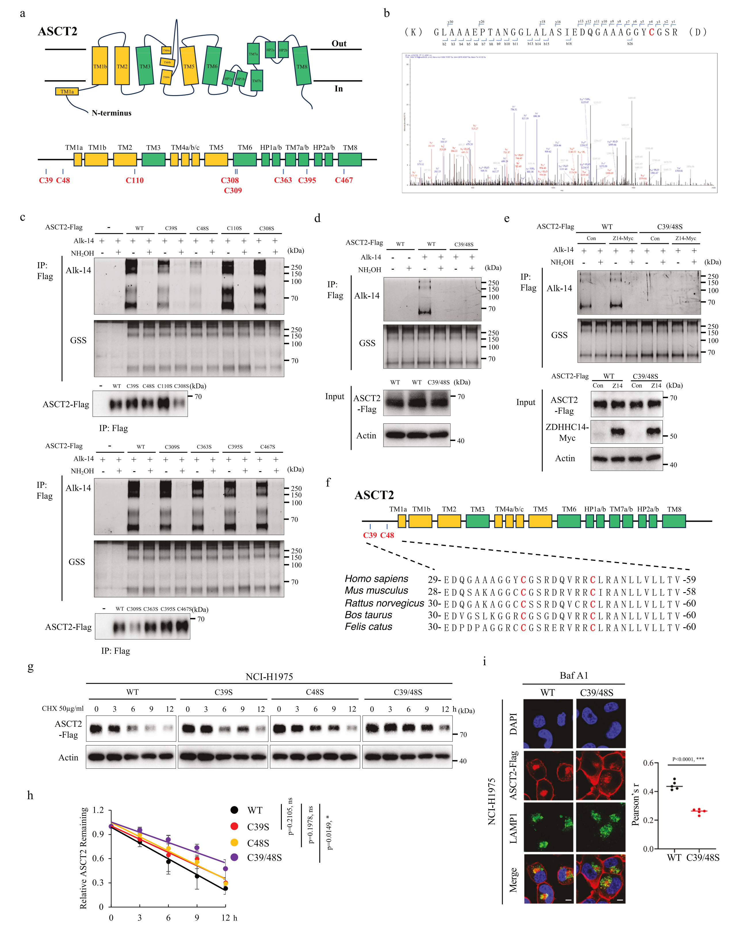 1775118888753297.png 1775118888753297.png