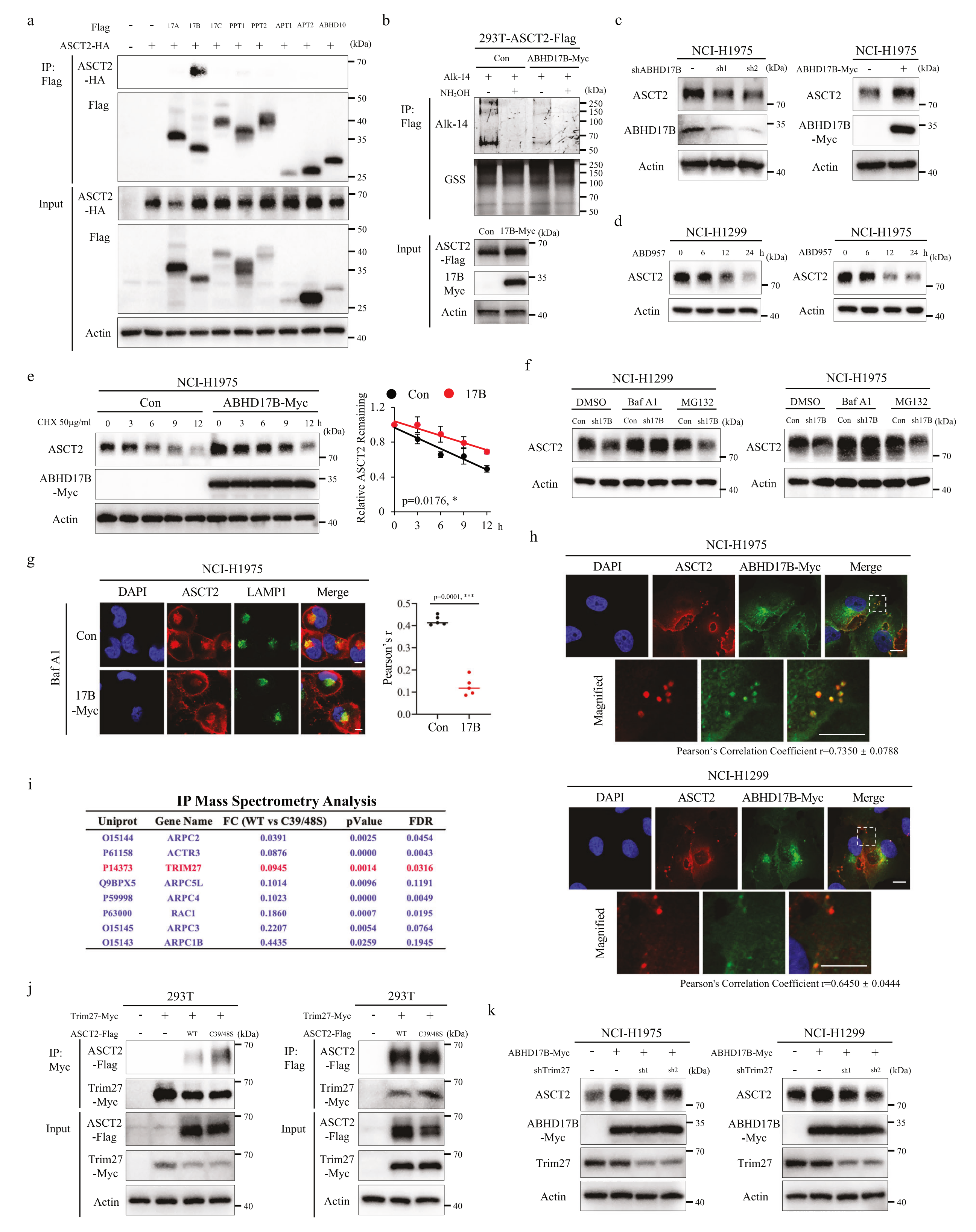 1775118923454365.png 1775118923454365.png