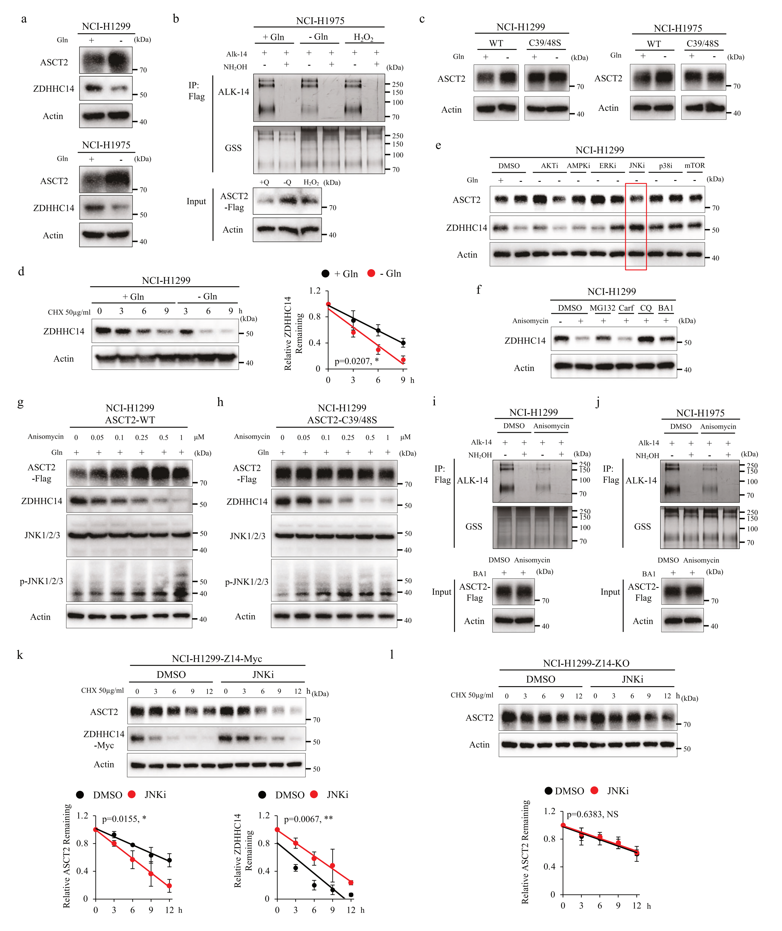 1775118955145406.png 1775118955145406.png