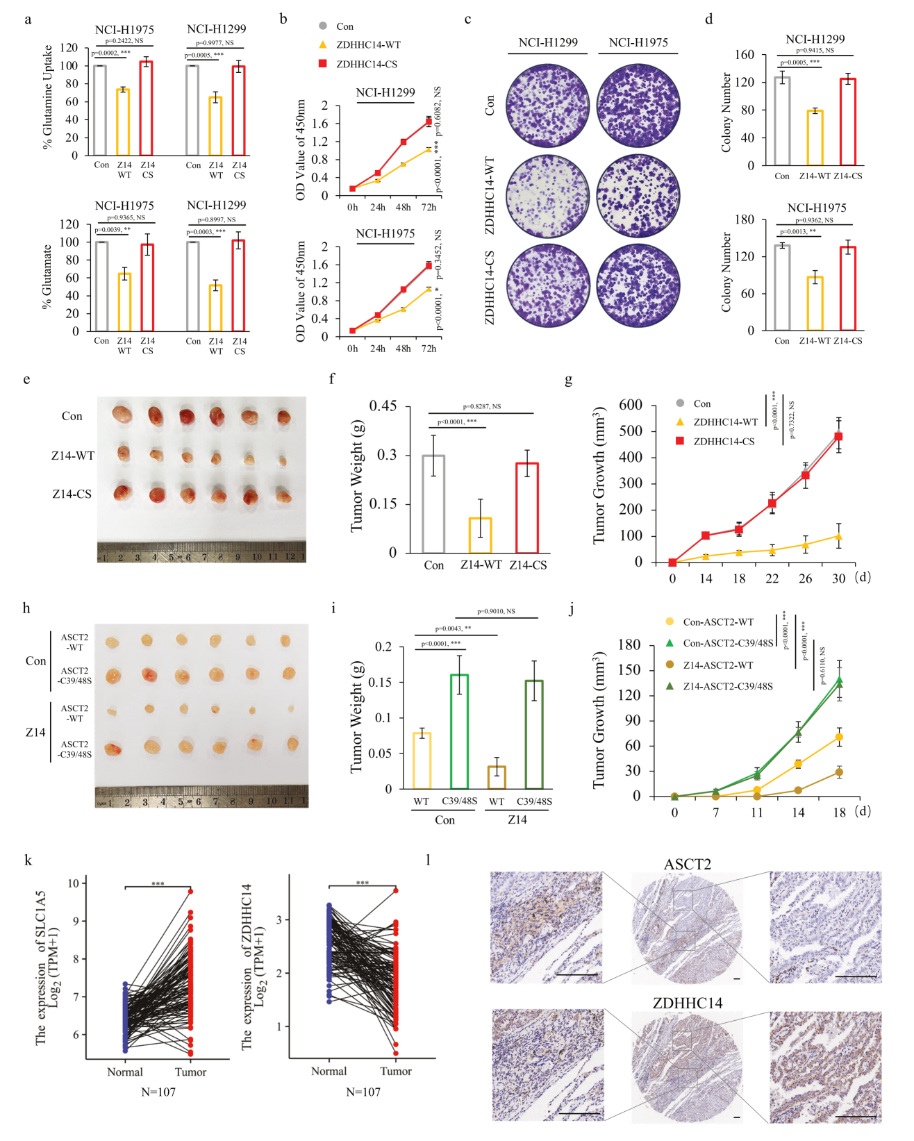 1775119062164581.png 1775119062164581.png