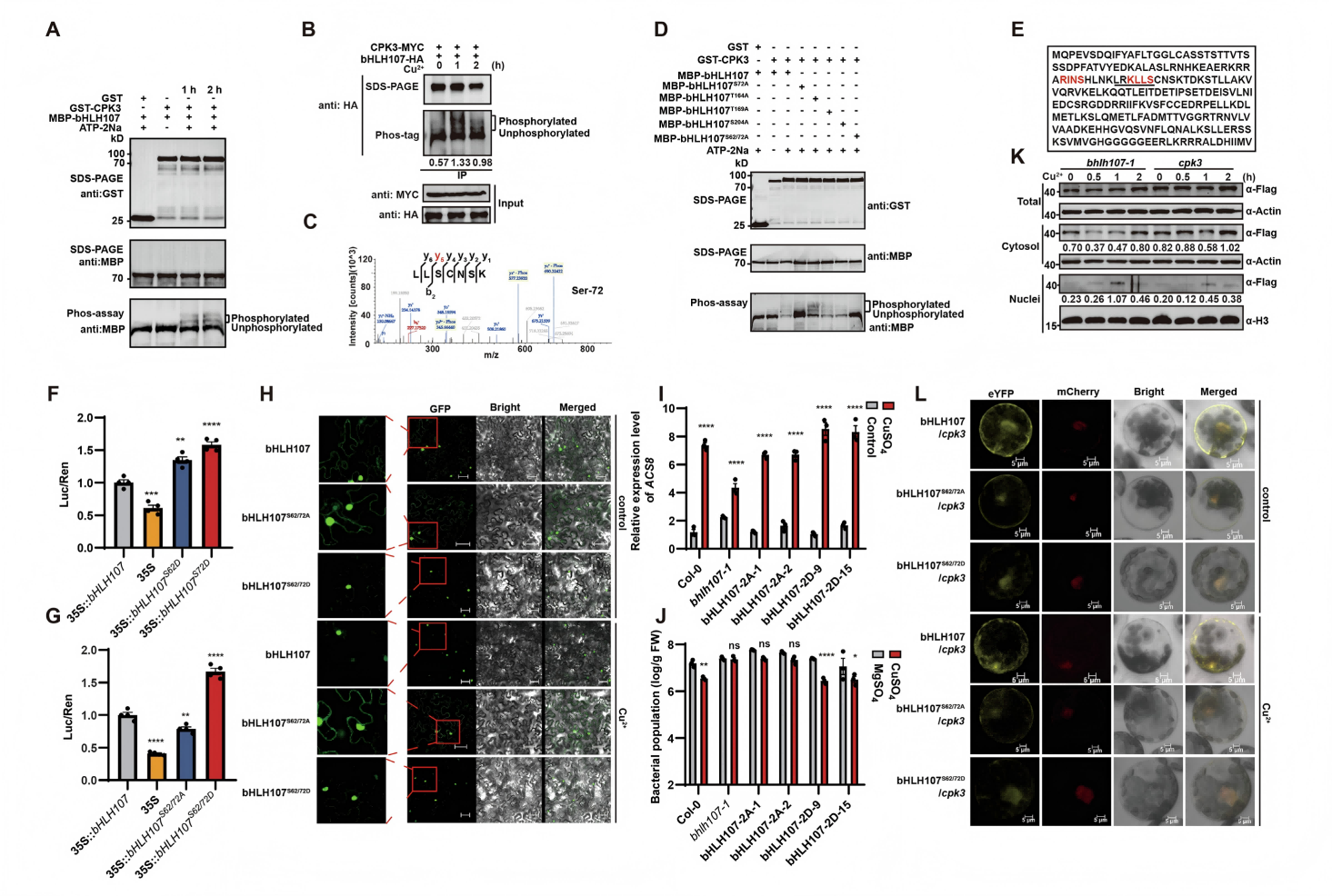 1776145831327378.png 1776145831327378.png