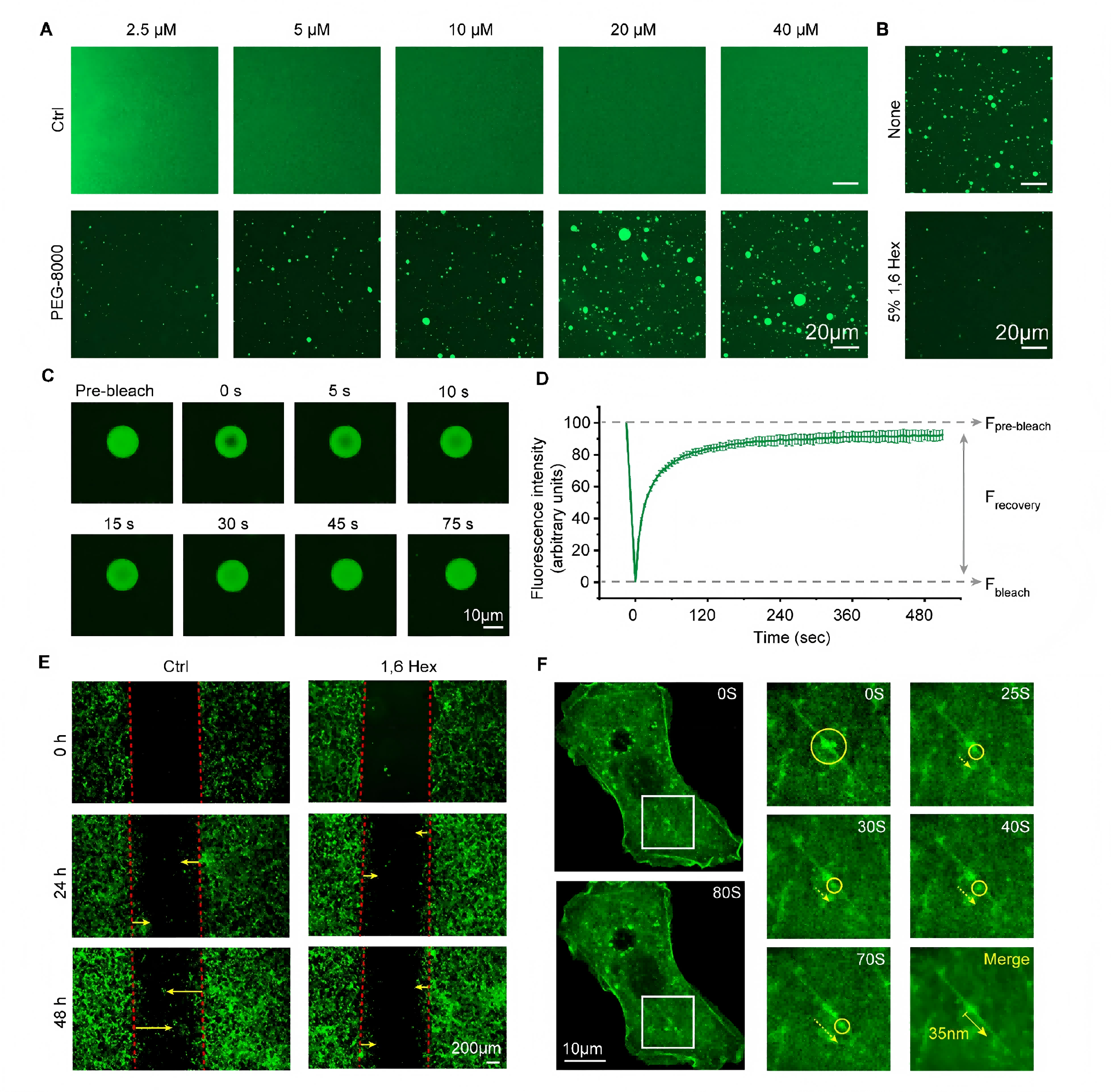 1776148106583678.png 1776148106583678.png