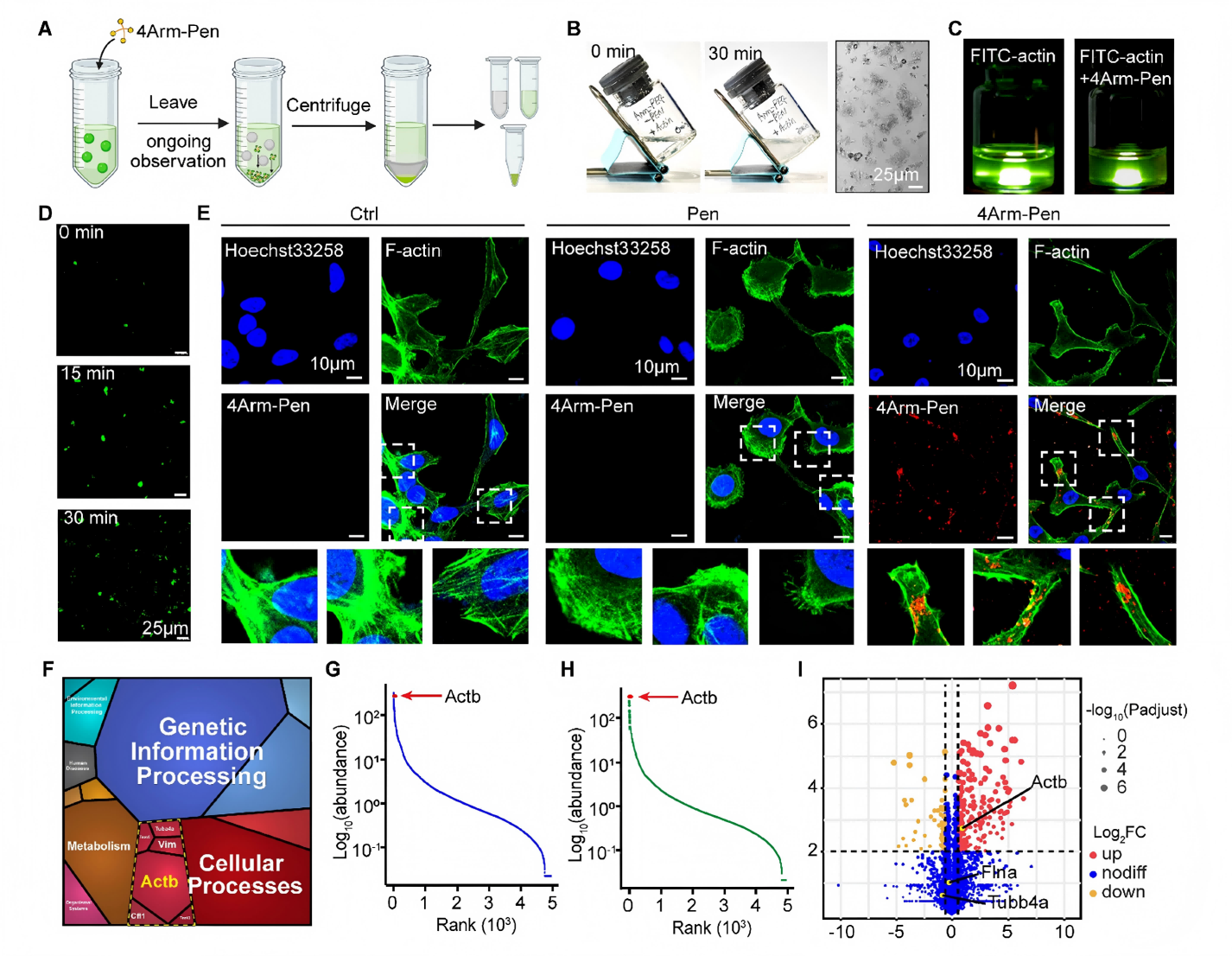 1776148160844534.png 1776148160844534.png