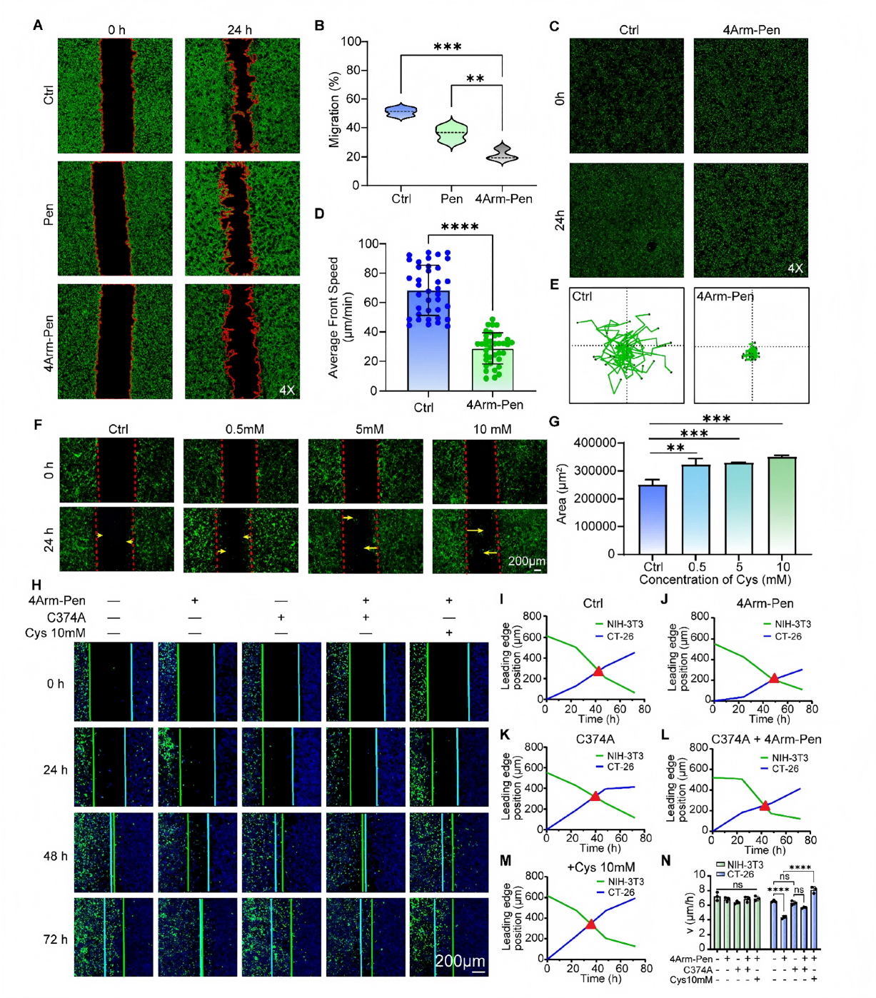 1776148210115425.png 1776148210115425.png