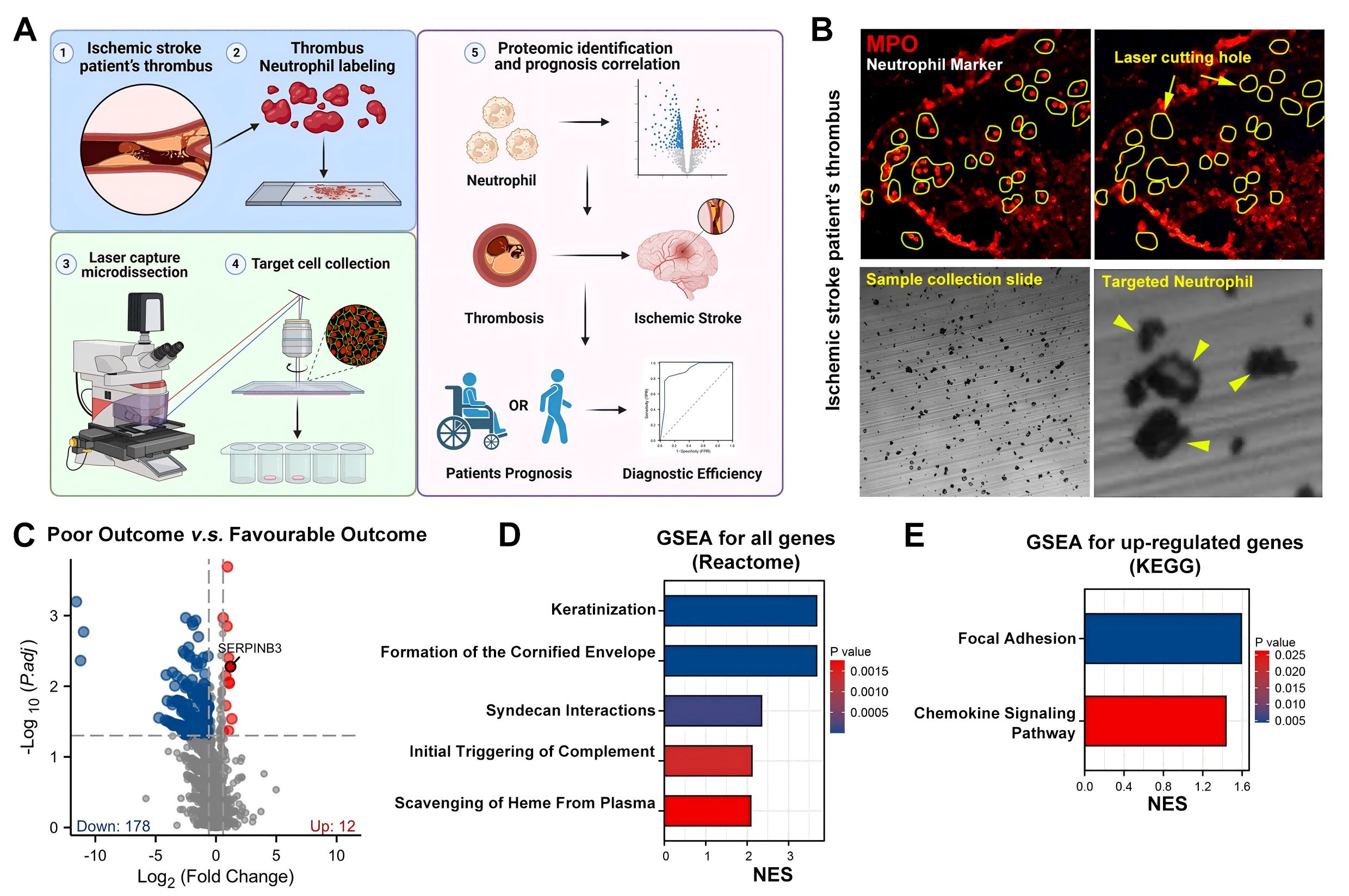 1776149621986748.png 1776149621986748.png