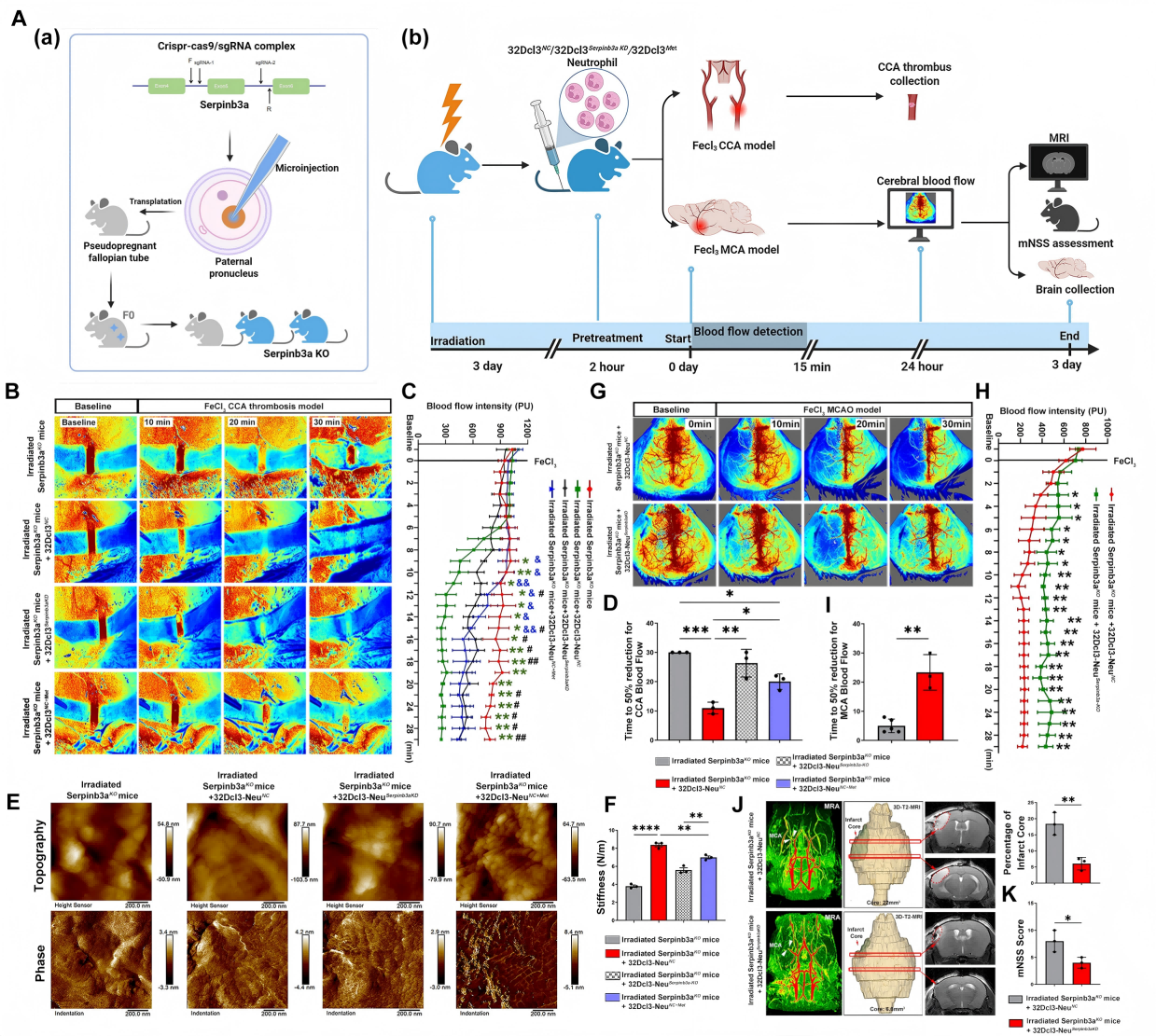 1776149664160282.png 1776149664160282.png