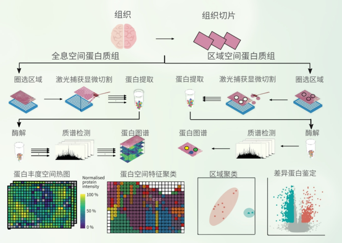 1776149694654757.png 1776149694654757.png