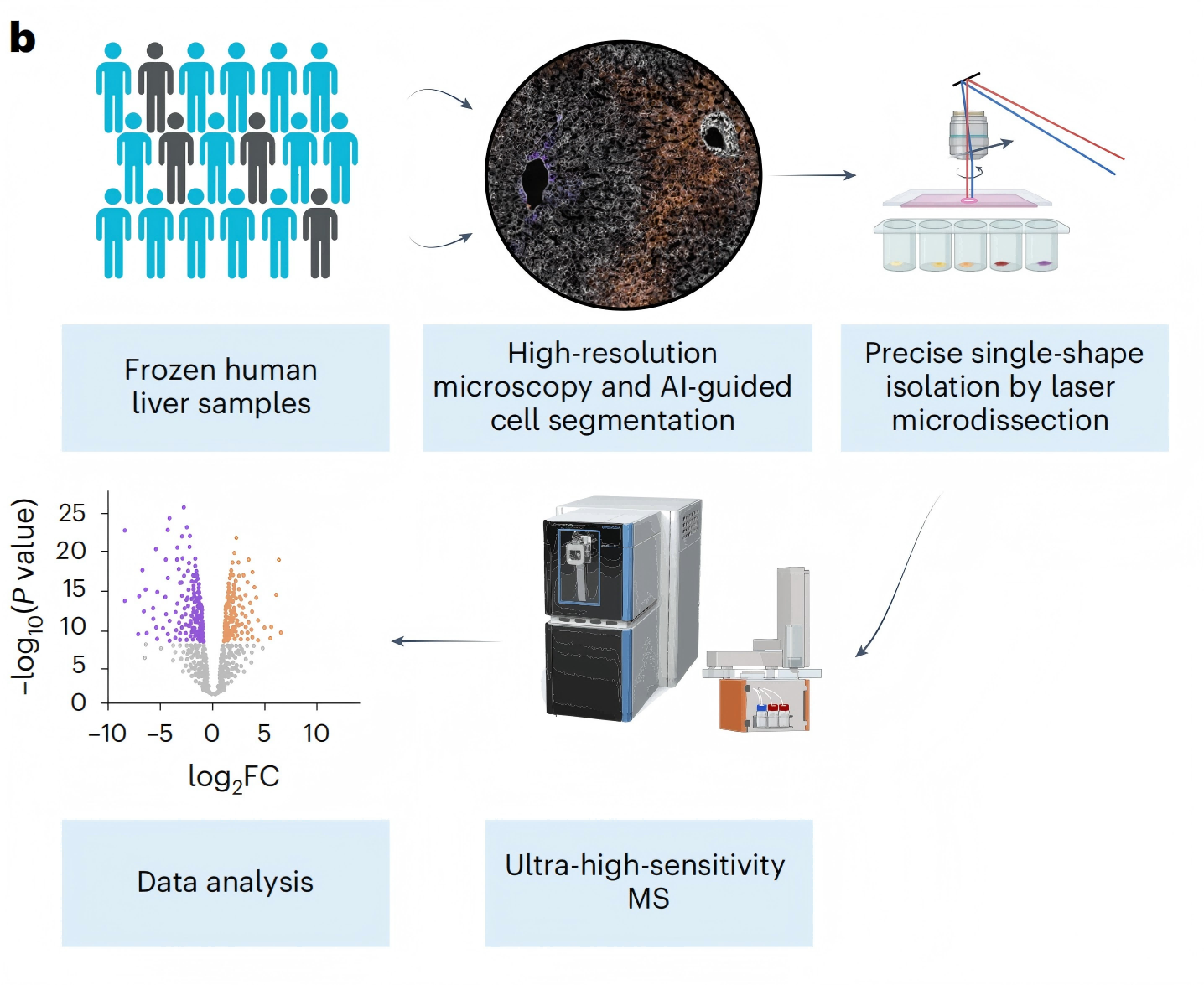 1776231659154290.png 1776231659154290.png