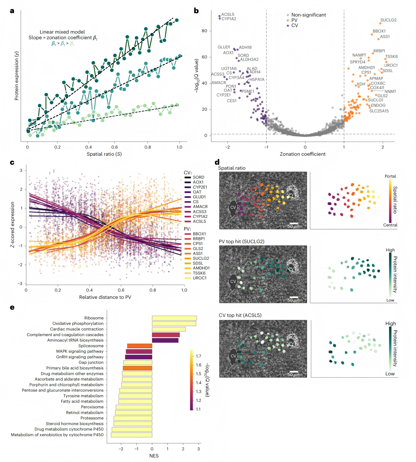 1776231757691661.png 1776231757691661.png