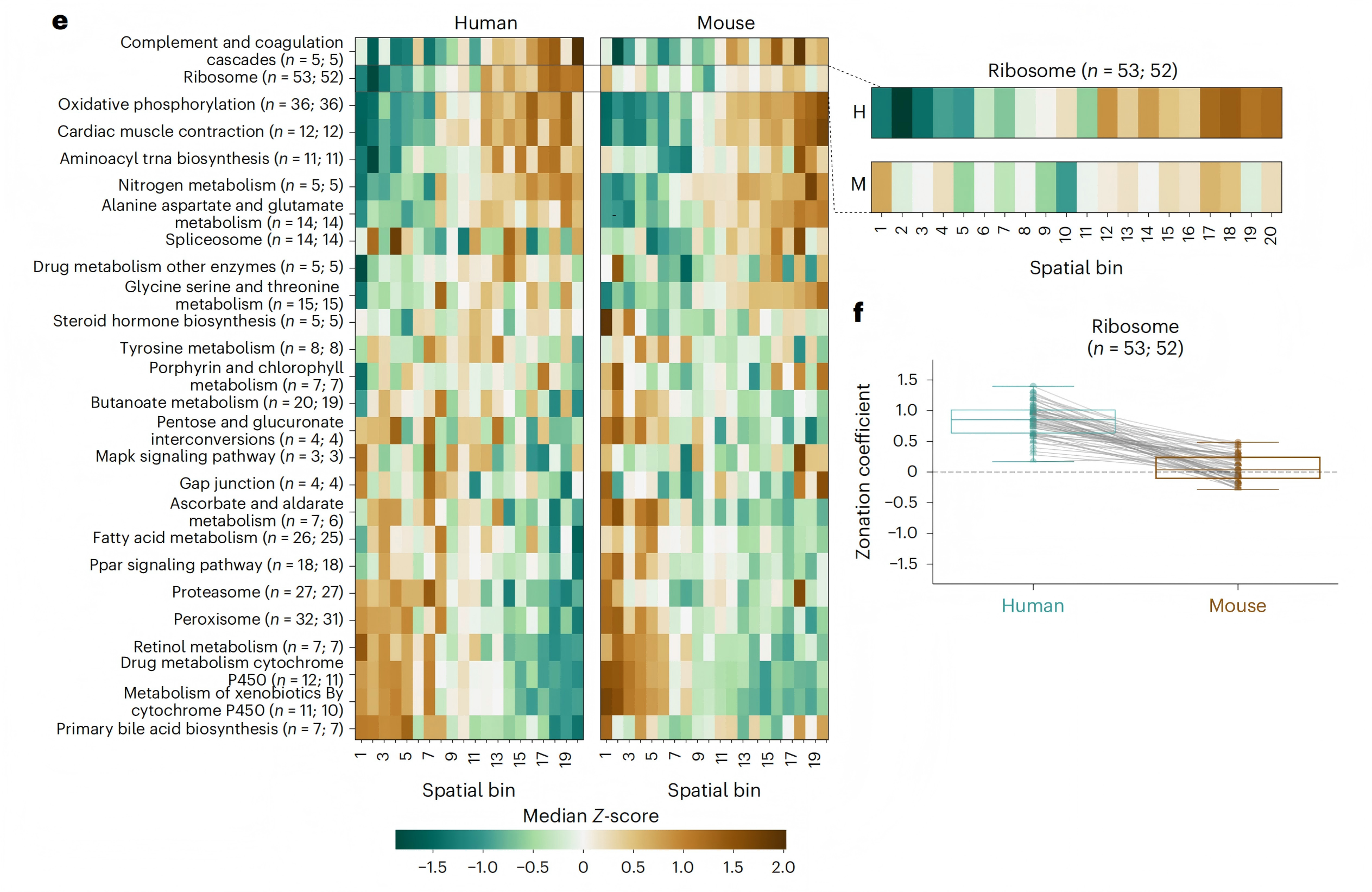 1776231787784193.png 1776231787784193.png