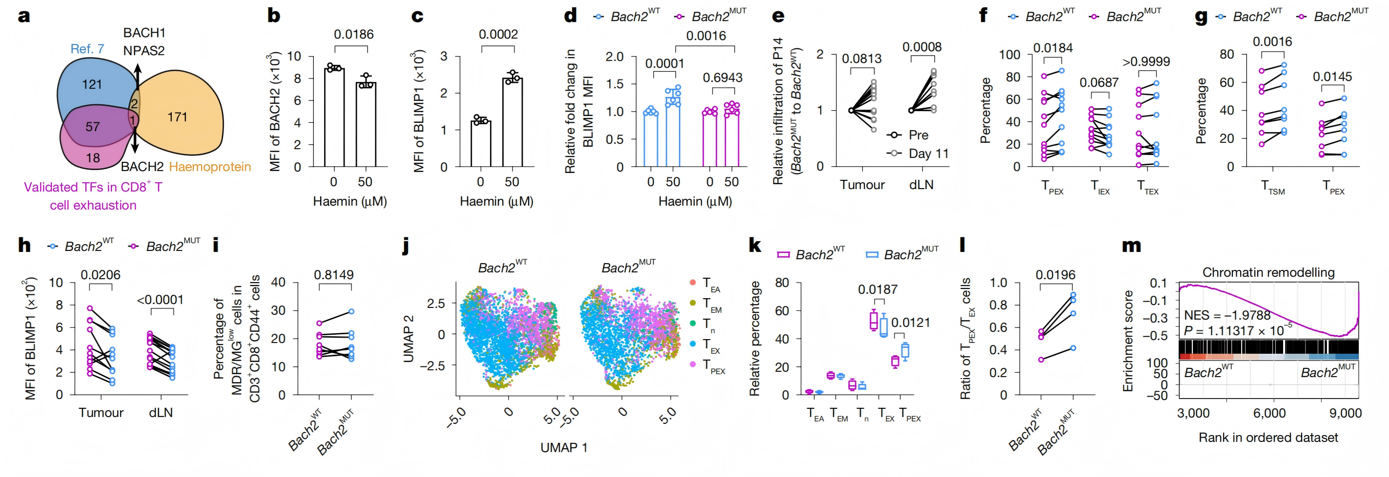1776233209816139.png 图3.png