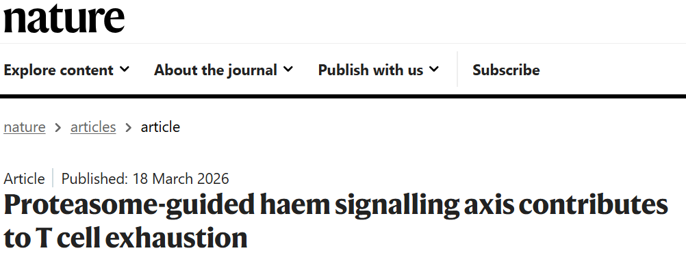 1776321086904499.png 1776321086904499.png