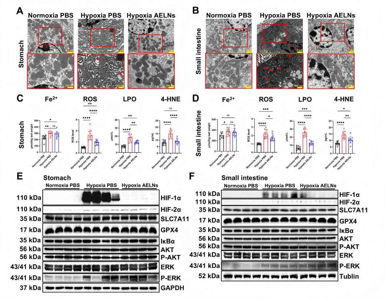 1776329760266143.png 1776329760266143.png