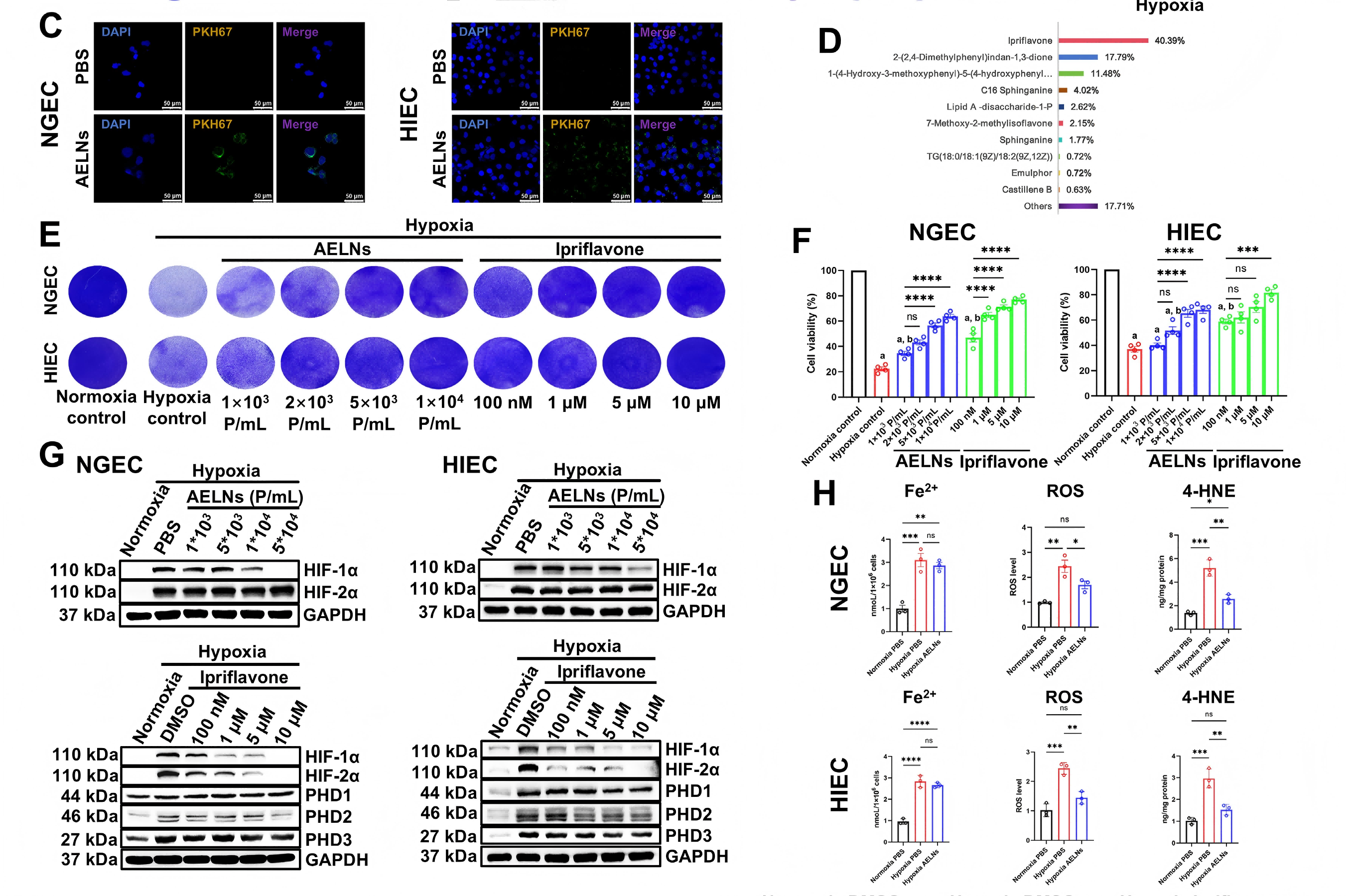 1776329818294471.png 1776329818294471.png