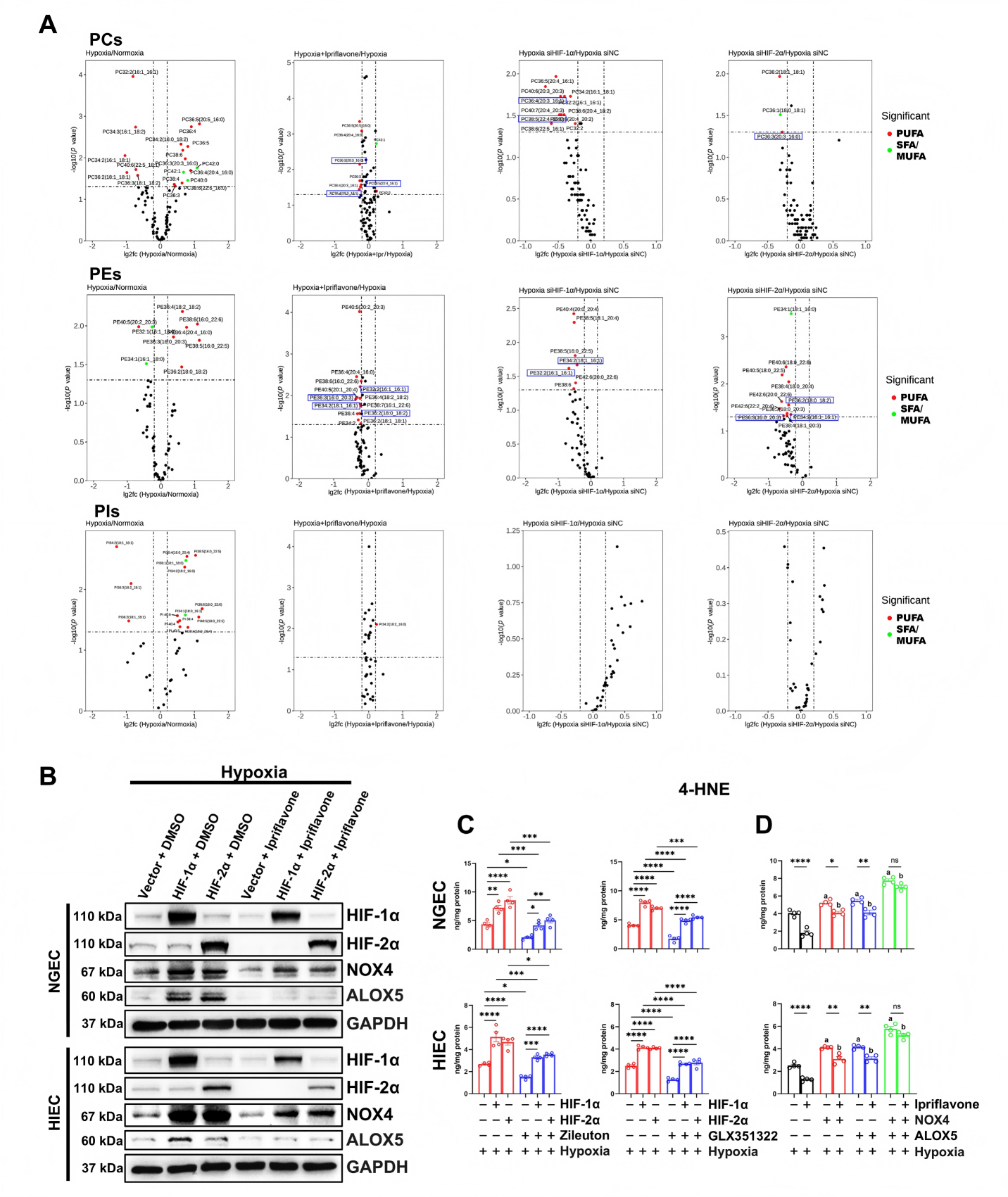 1776329839340195.png 1776329839340195.png