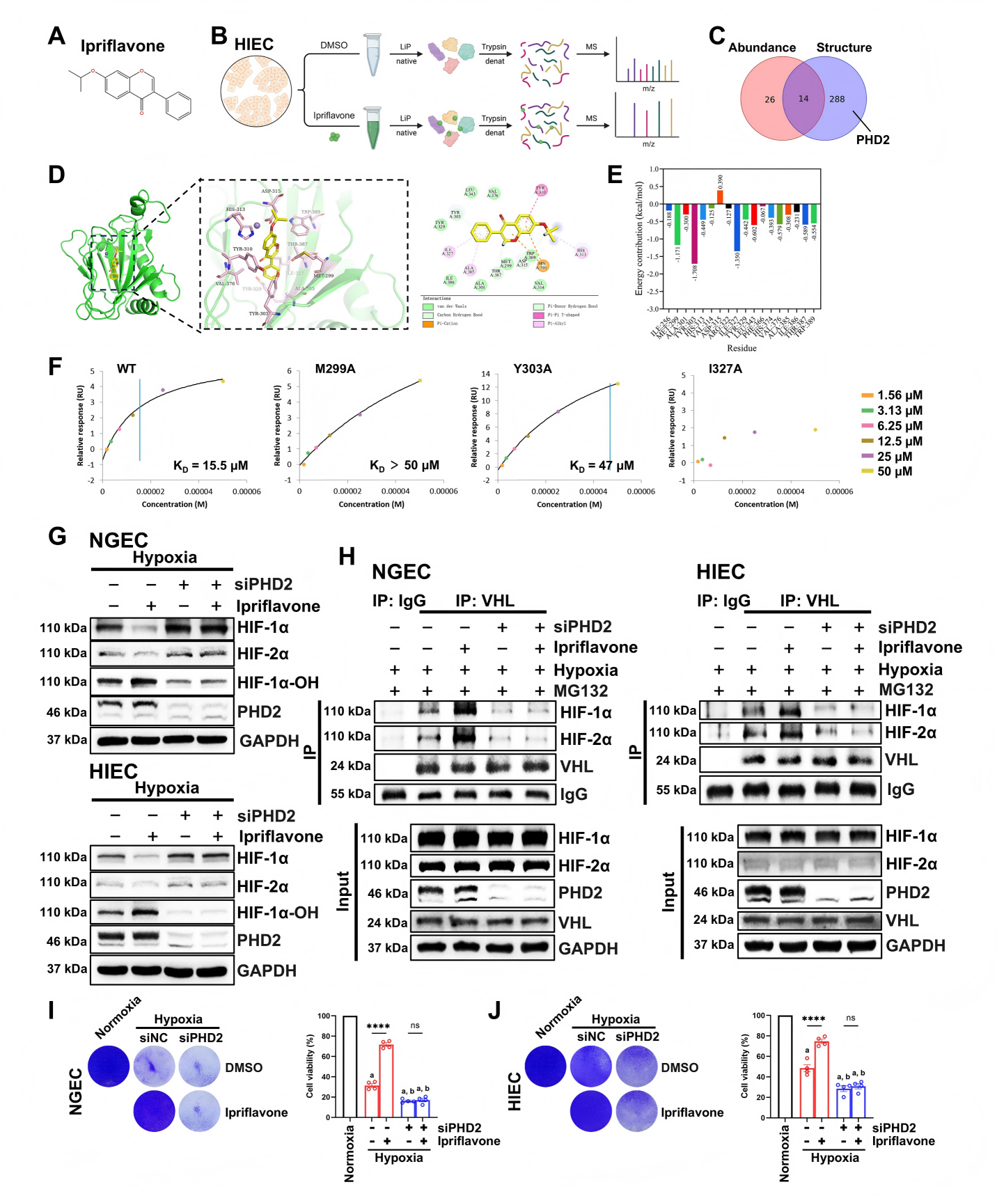 1776329873764531.png 1776329873764531.png